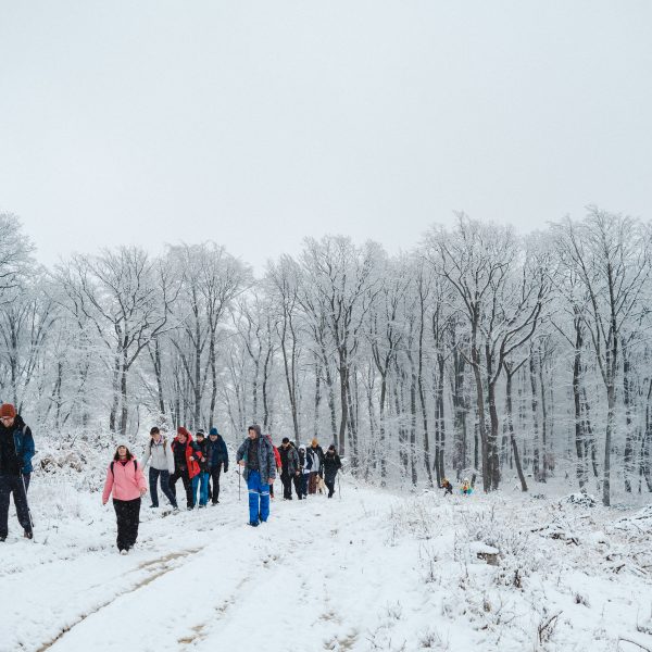 Drumeție pe Dealurile Târnavei: Ighișul Nou - Motiș