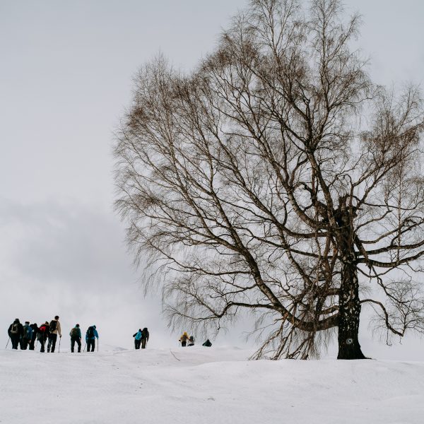-AMÂNAT- Drumeție la Căsuța MGS și Vf. Măgura