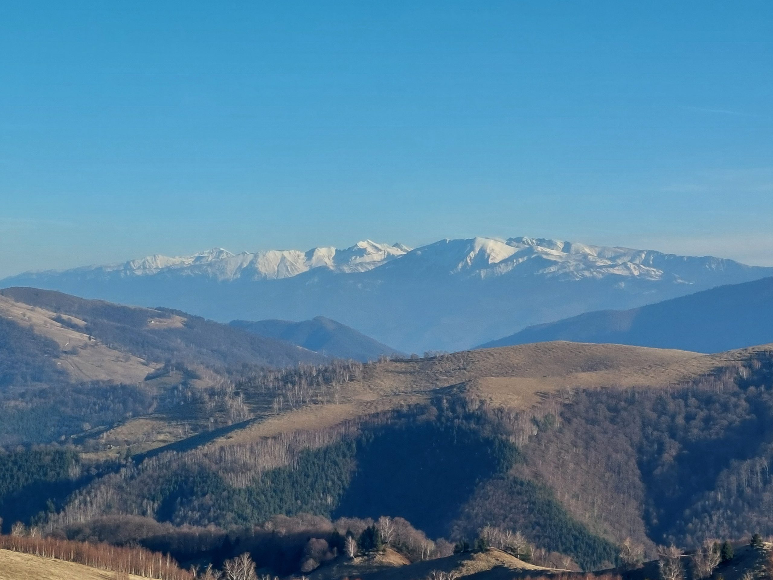 Drumeție ușoară pe Dealul Bârnelor