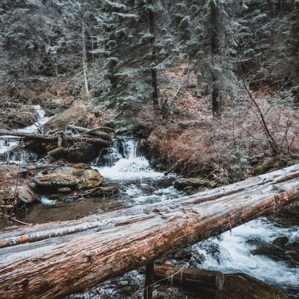 Drumeție în Munții Făgăraș: Cabana Turnuri