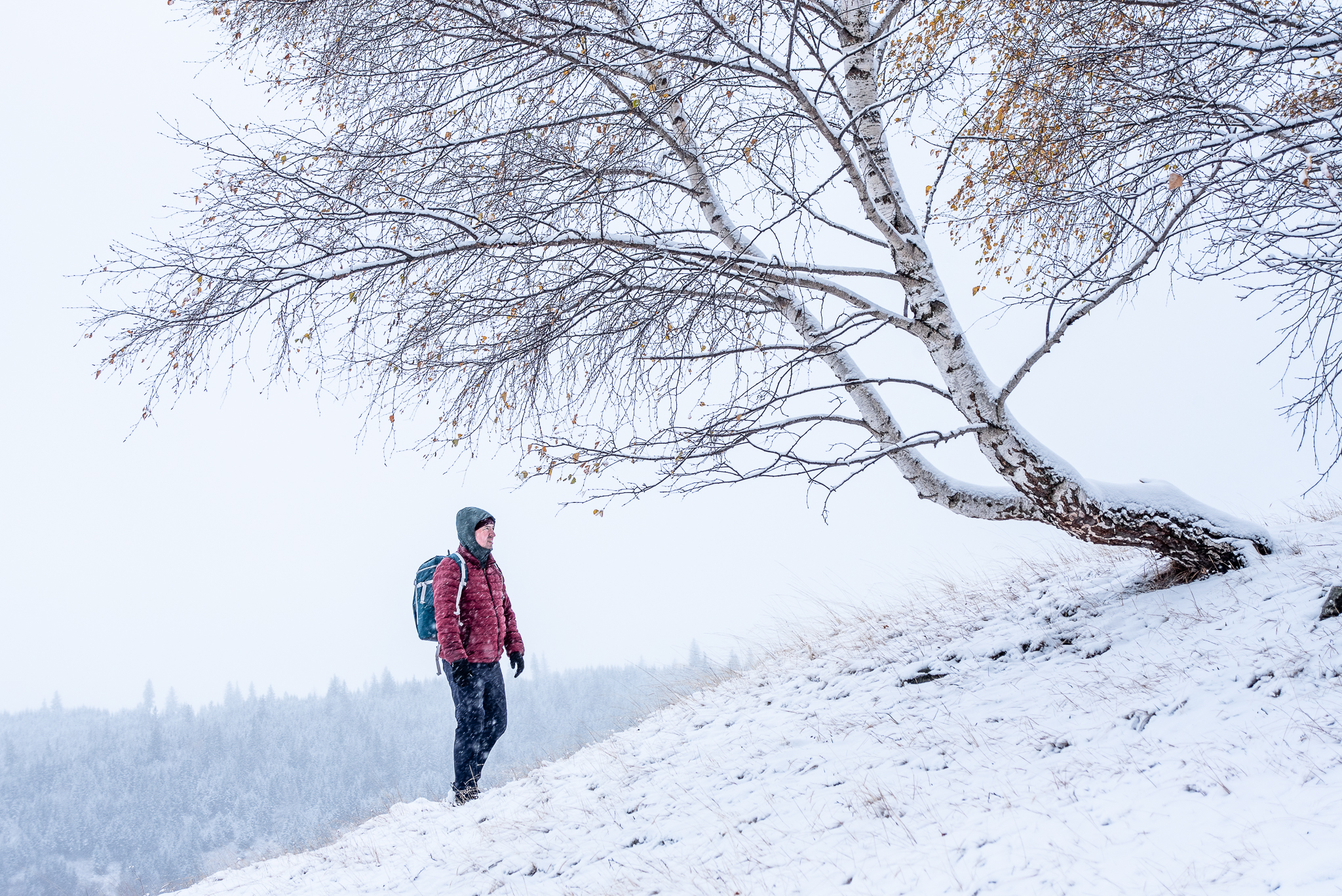 Drumeție în familie pe Dealul Fraga