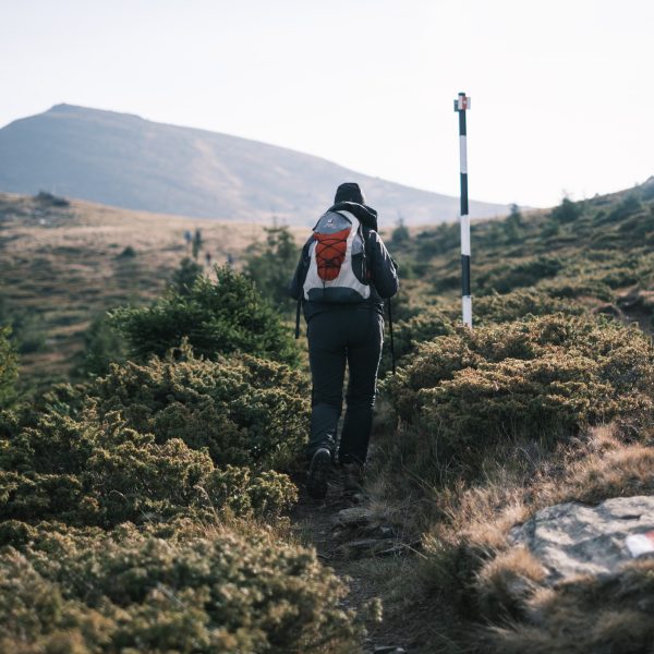 Drumeție în Munții Făgăraș: Vf. Tătaru