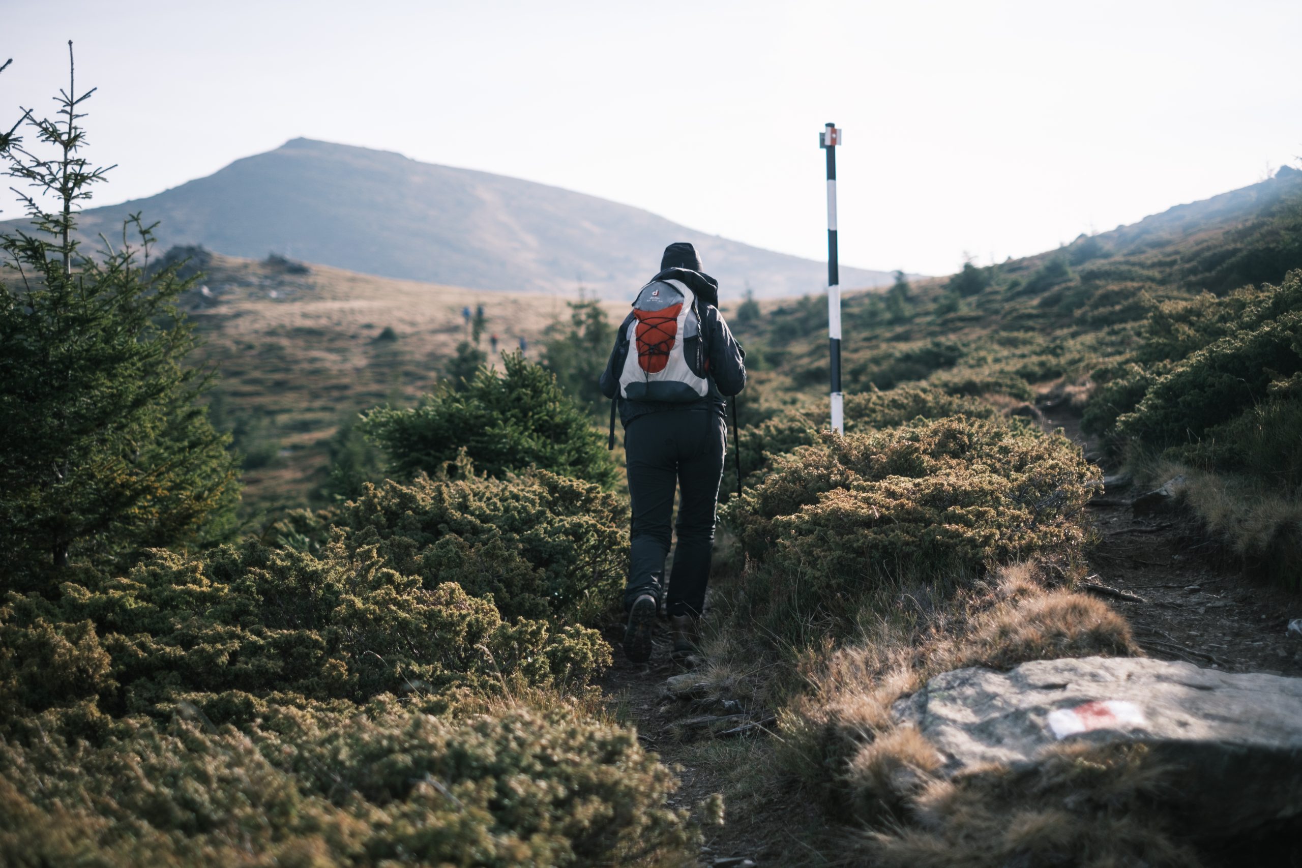 Drumeție în Munții Făgăraș: Vf. Tătaru