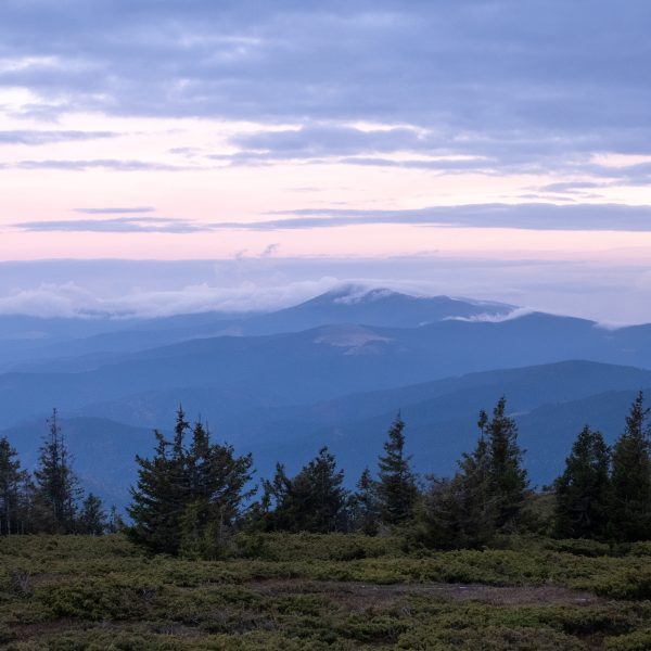 Drumeție de recuperare: Vf. Bătrâna și Vf. Surdu