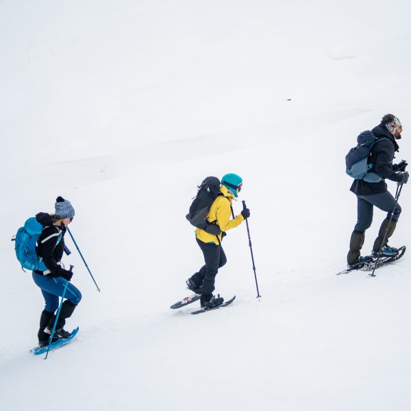 Circuit pe rachete de zăpadă: Valea Sadului - Vf. Prejba