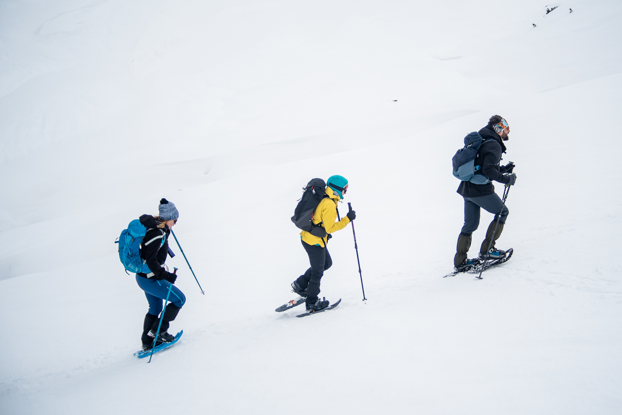 Circuit pe rachete de zăpadă: Valea Sadului – Vf. Prejba
