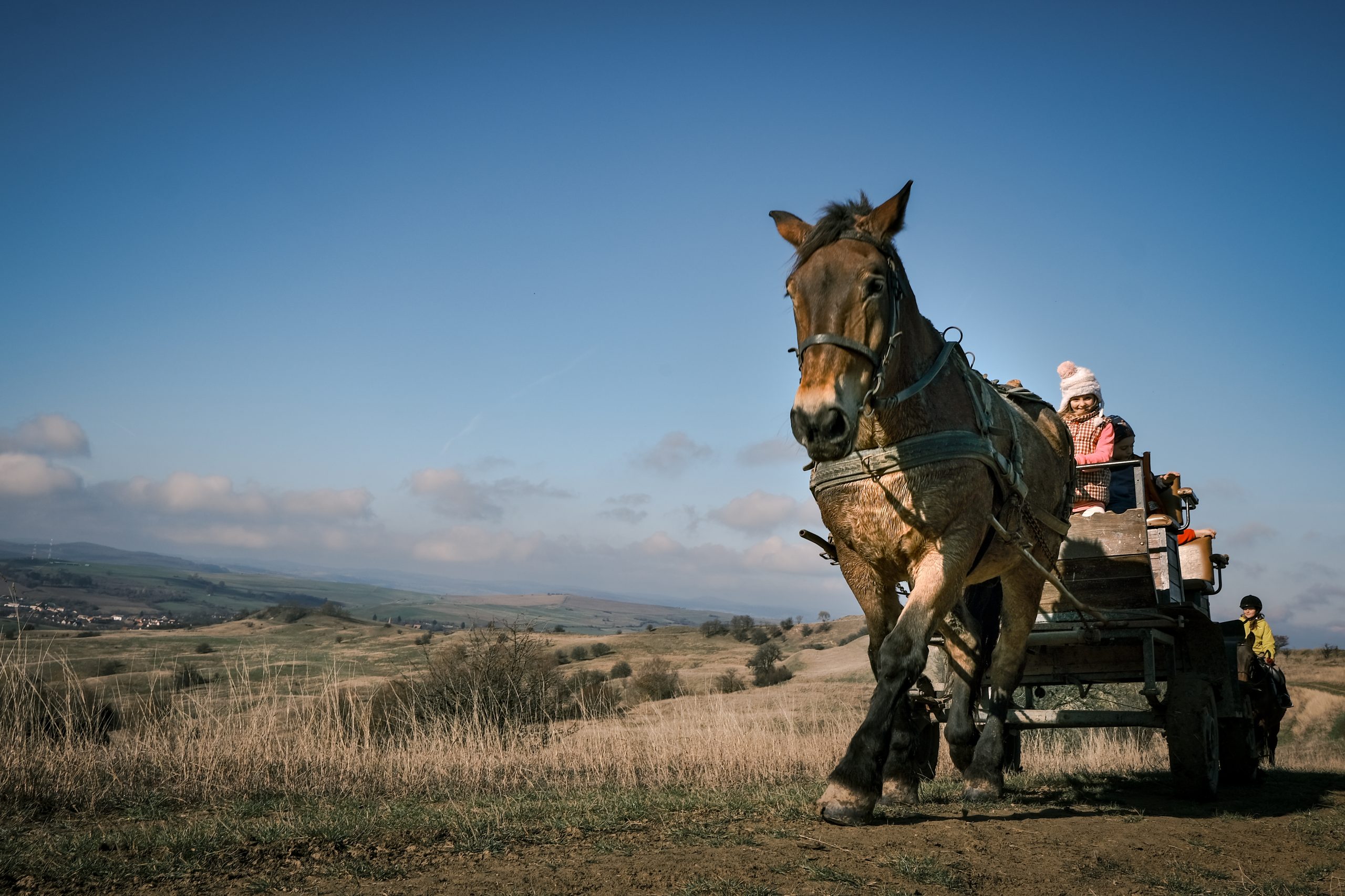 Drumeție pentru cei mici în jurul satelor din Munții Cindrel și plimbare cu căruța – partea a 2-a