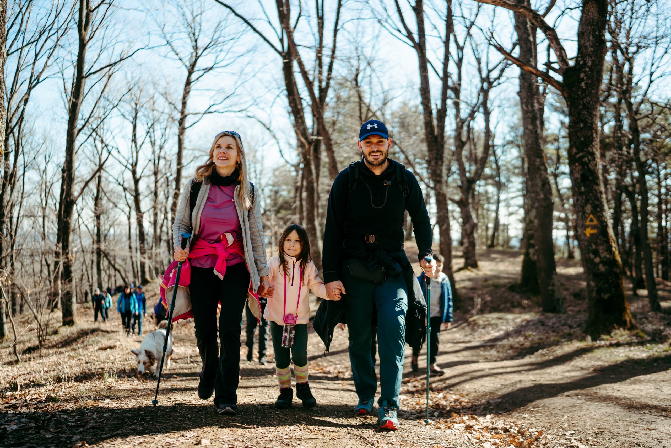 Drumeție în Poiana Pensionarilor, cu cârnați la jar