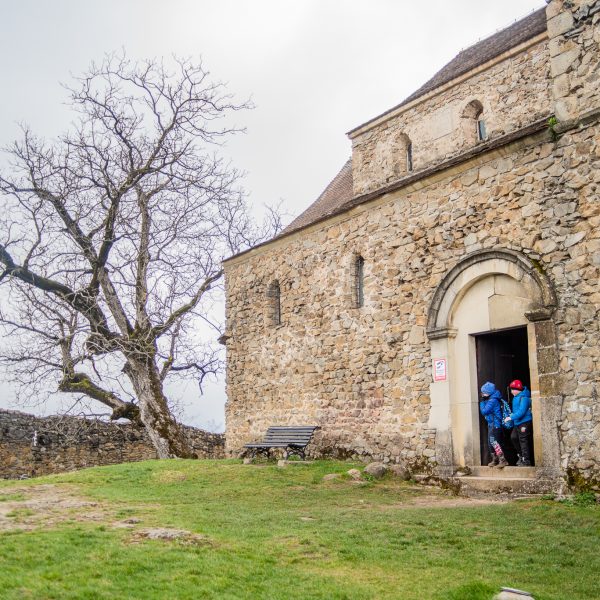 Drumeție prin Poiana Trandafirilor cu vizită la Cetatea Cisnădioara