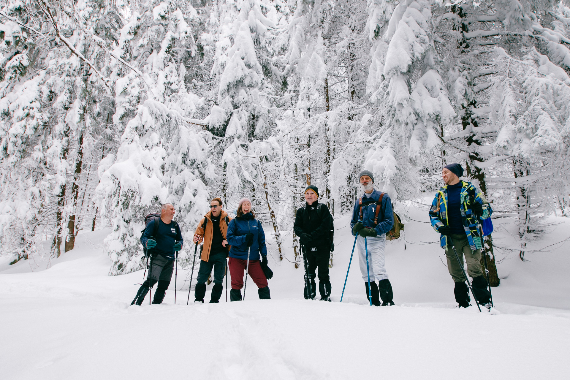 Drumeție în Munții Cindrel: Fosta Cabană Gâtu Berbecului