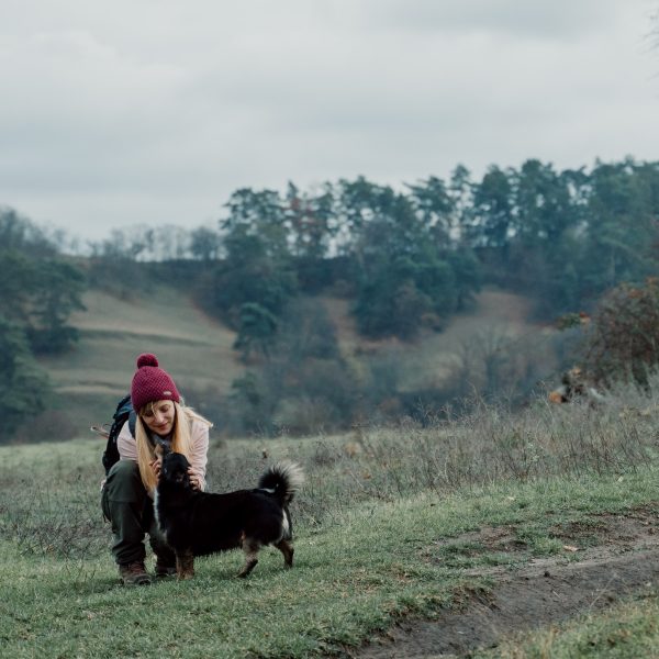Drumeție în Colinele Transilvaniei: Valea Viilor - Mediaș