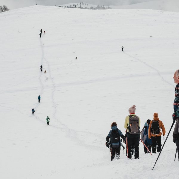 Peisaje hibernale: Dealurile Rășinarului
