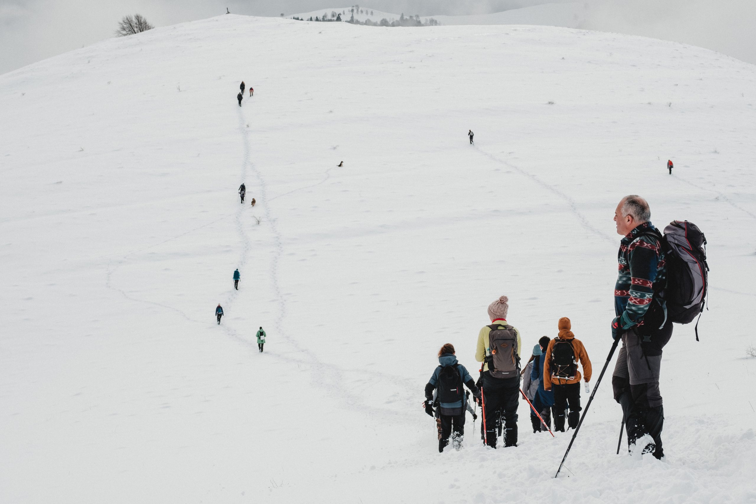 Peisaje hibernale: Dealurile Rășinarului