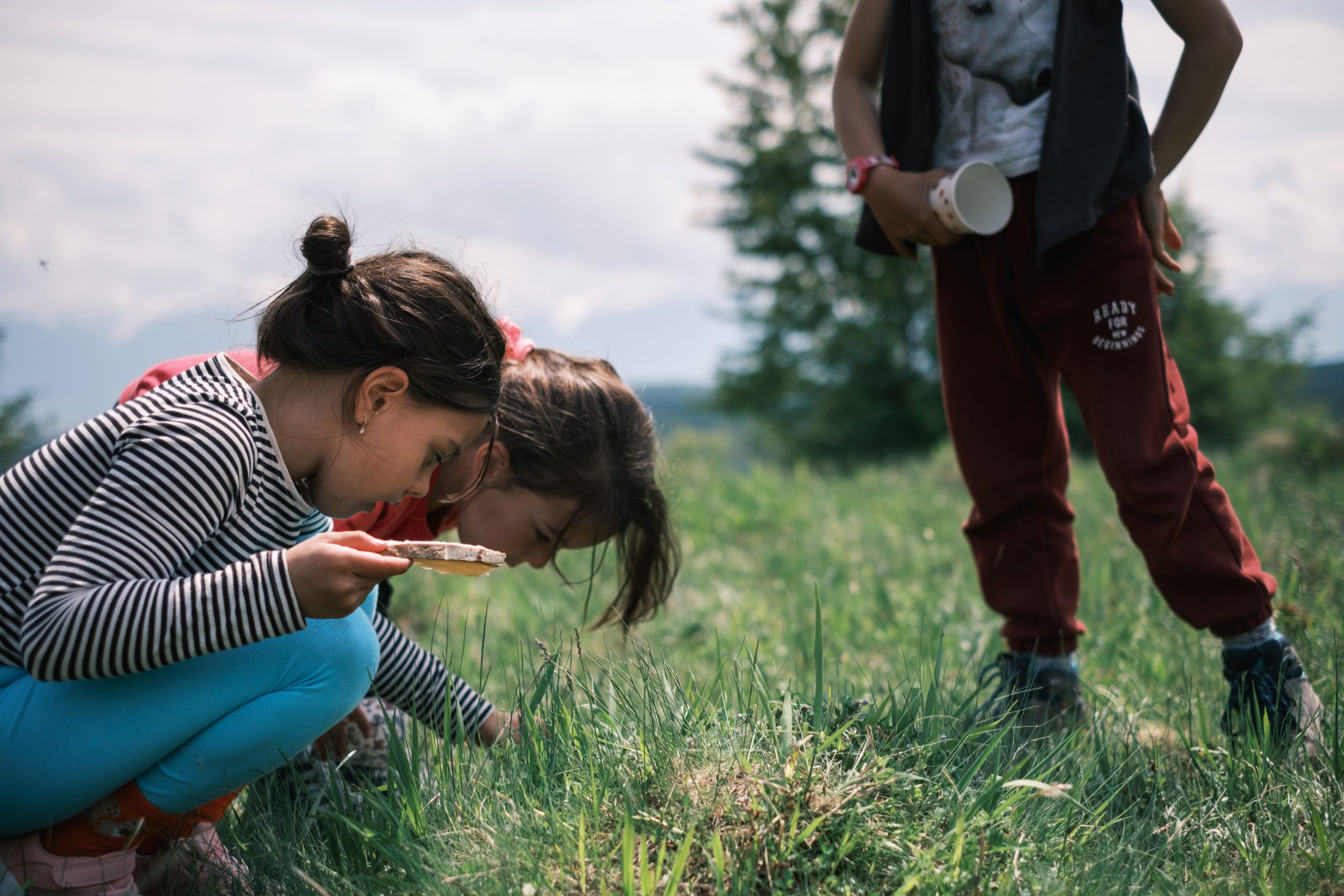 Drumeție cu foraging: leurdă și ciuperci