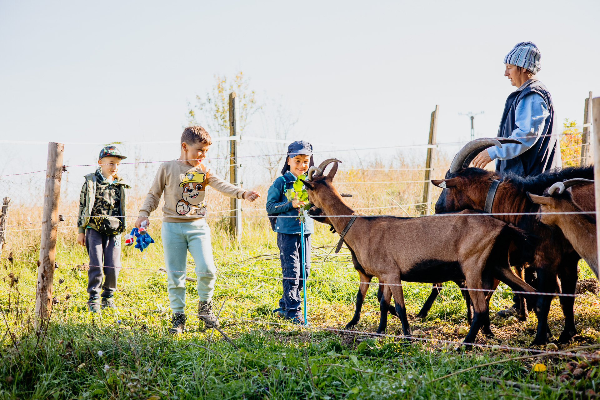 Picnic biodinamic și vizită la ferma de animale Ilimbav
