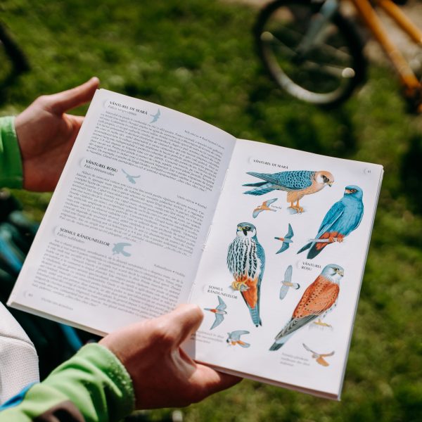 ”Se întorc păsările călătoare” - drumeție de observare a păsărilor care se întorc din migrație