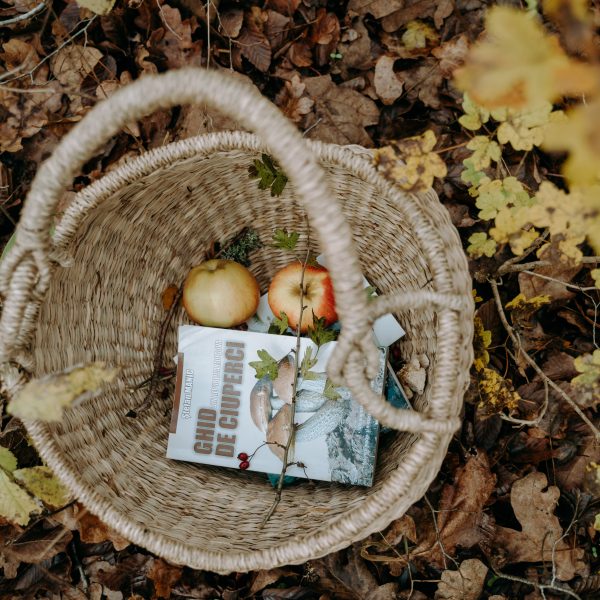Tur botanic de primăvară