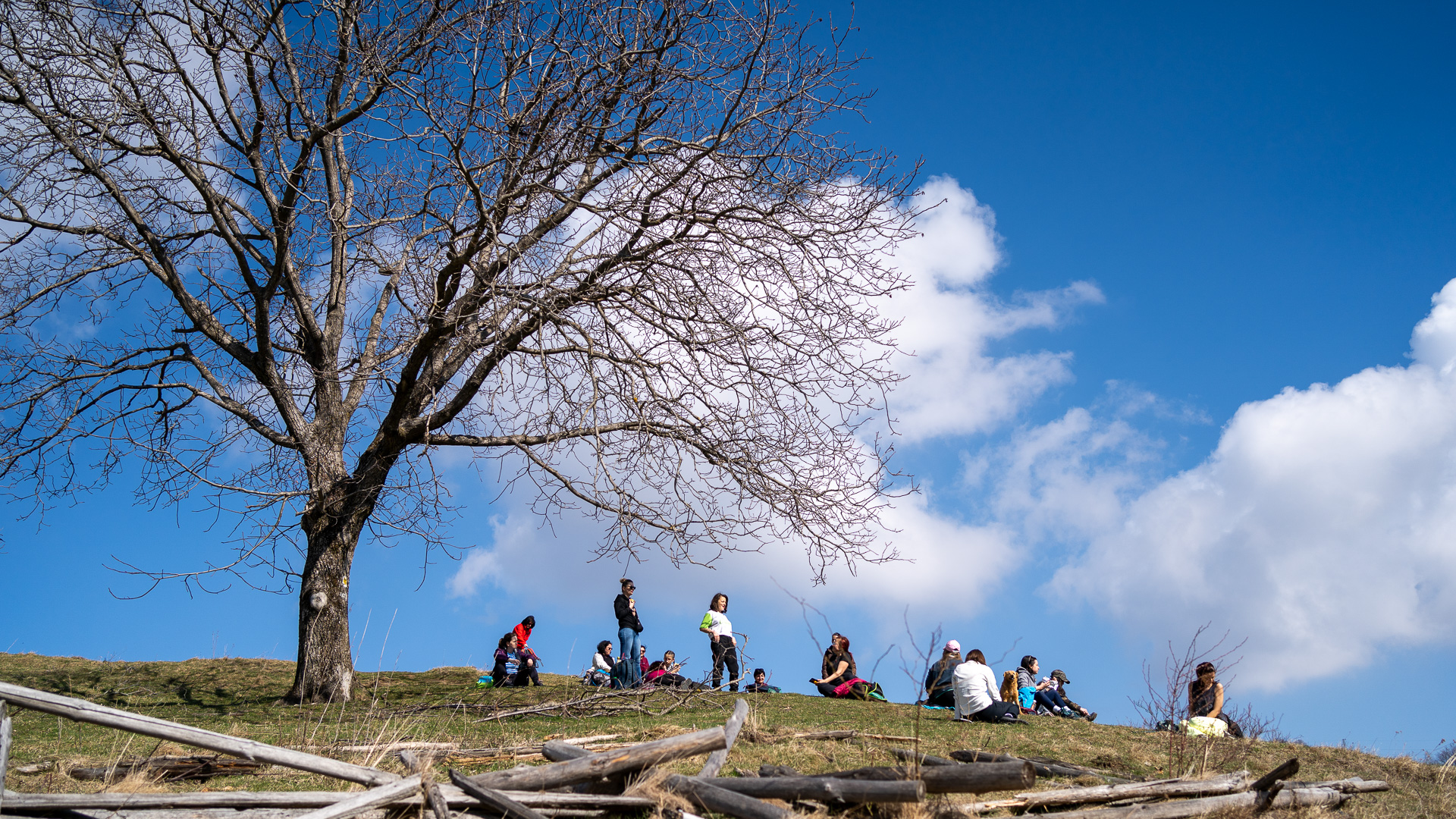 Drumeție pentru femei prin Poiana Trandafirilor spre Țara Colibelor