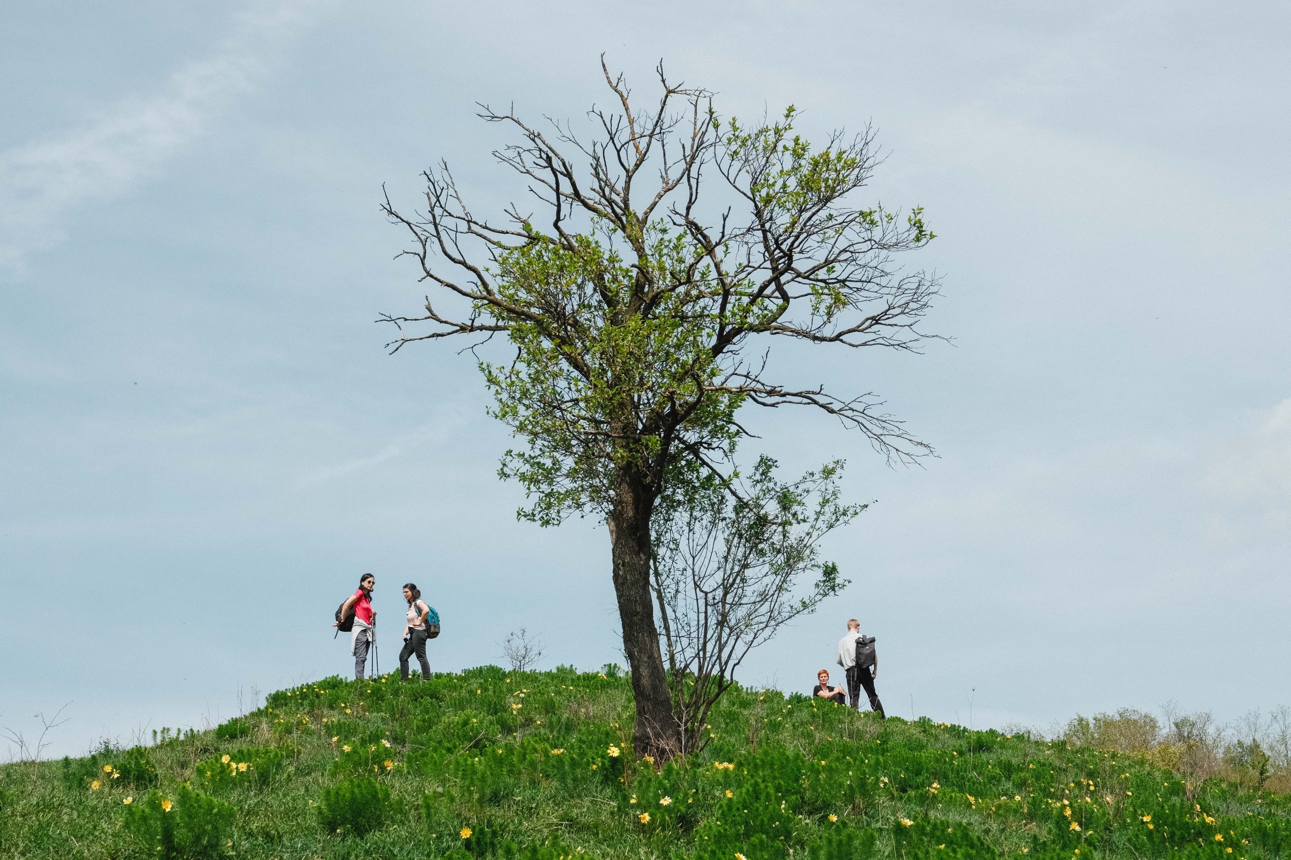 Drumeție de la Curciu la Șmig