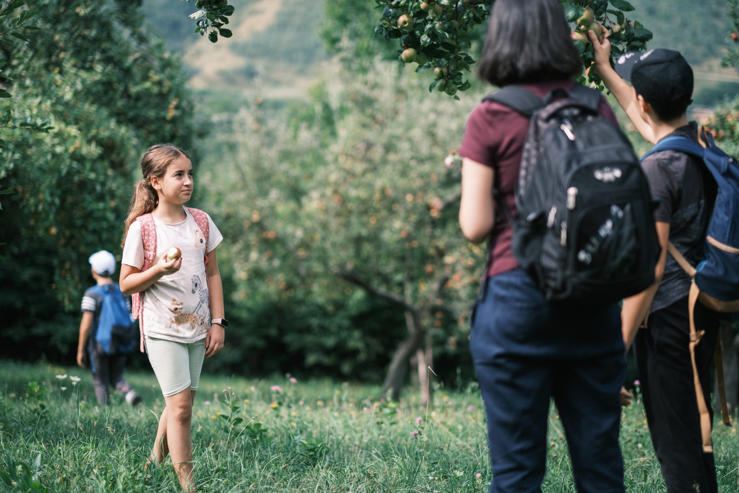 Drumeție, teatru și picnic cu fructe la Cisnădioara