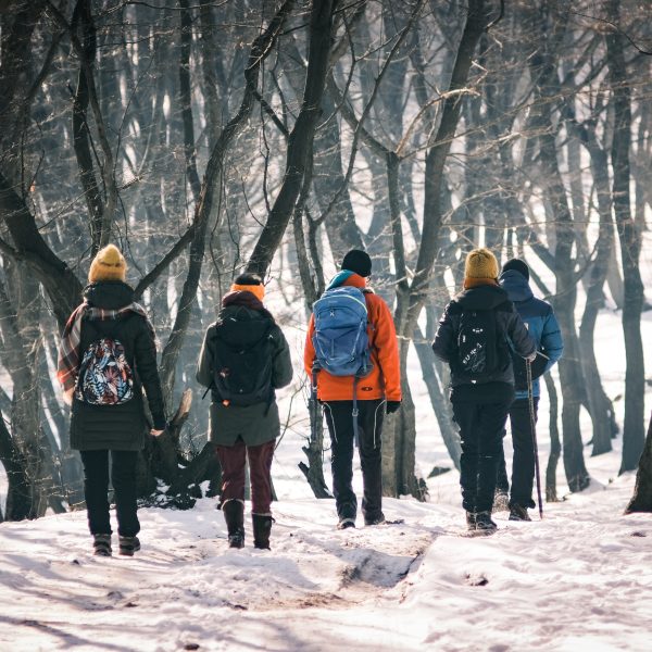 Drumeție pe Via Transilvanica: Mediaș - Heleșteu