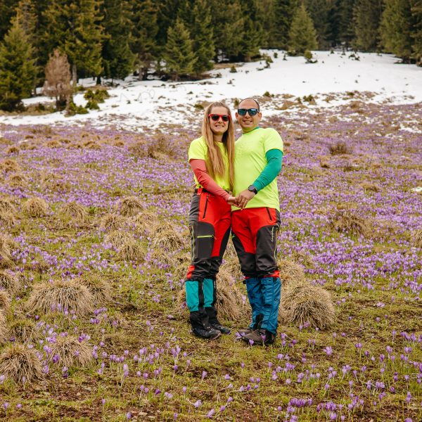 Drumeție la brândușele de primăvară: Valea Avrigului - Cabana Suru