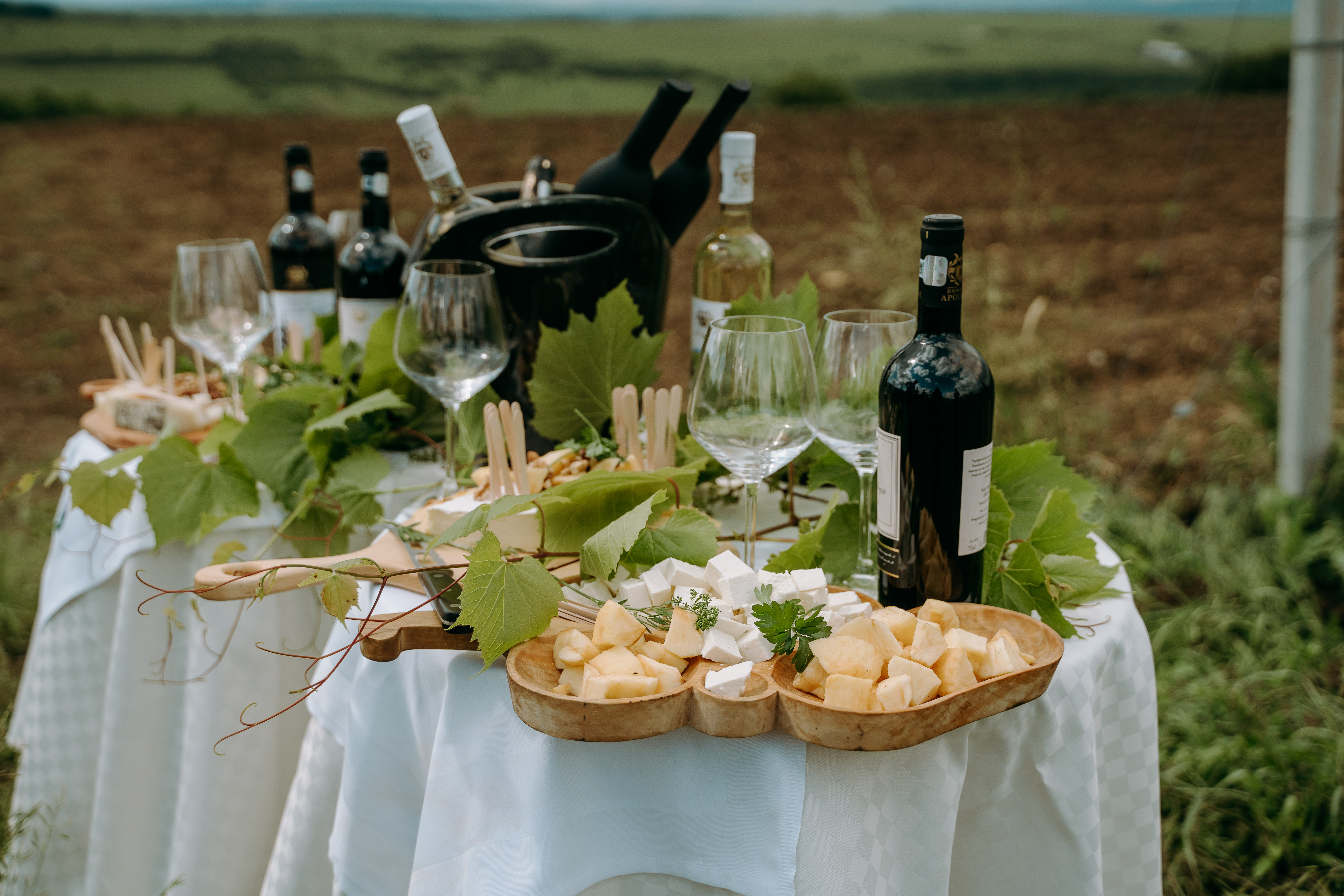 Tur cultural in judetul Sibiu cu degustare de vin la domeniul Apoldium