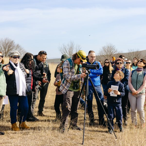 Birdwatching Hike - Wintering Birds at the Mândra Ponds