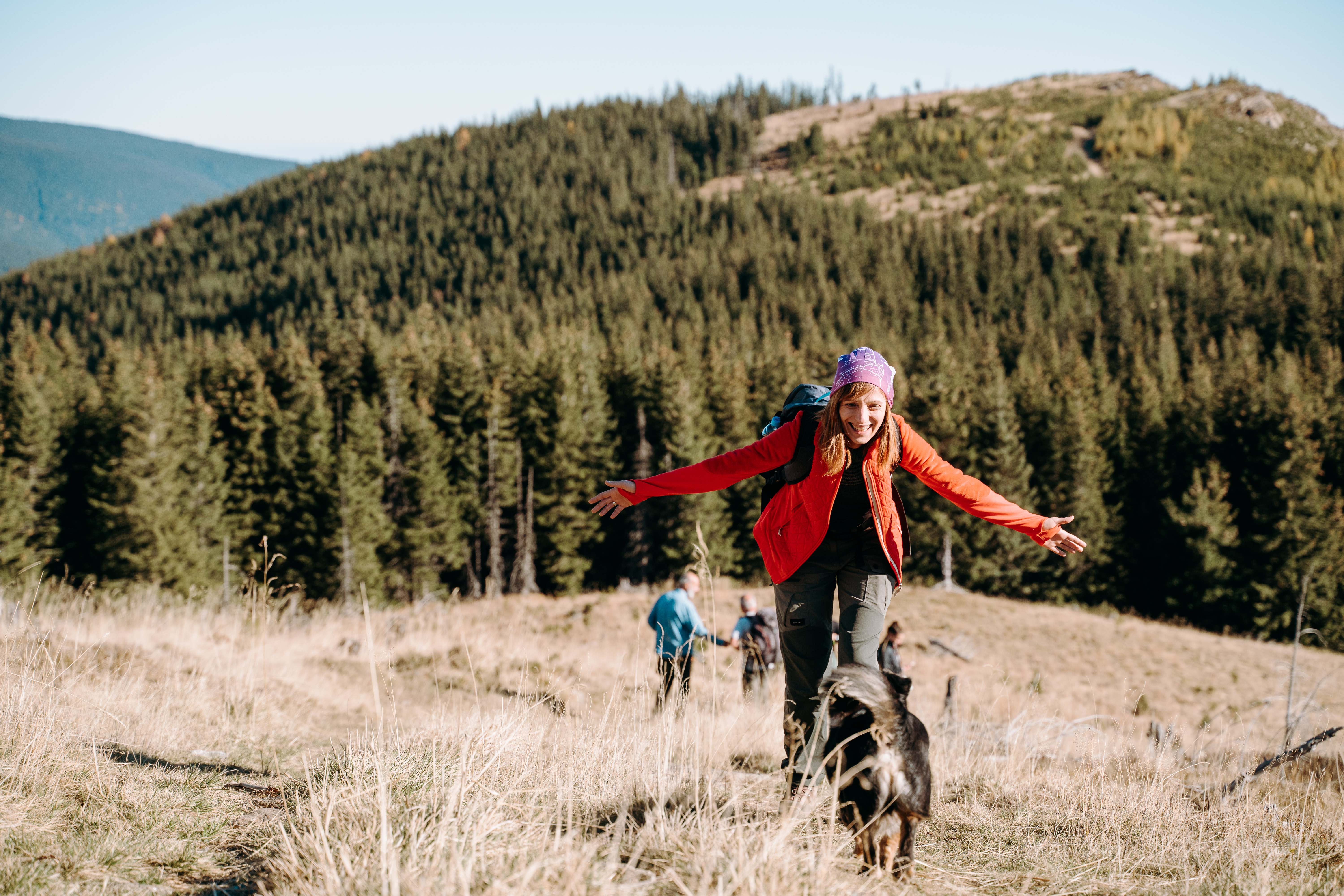 Drumeție în Munții Lotrului: Vf. Negoveanu Mare