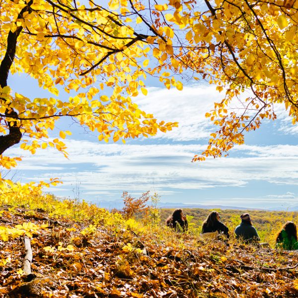 Hike with Mysteries, Legends, and Saxon Flavors to Hazeldorf