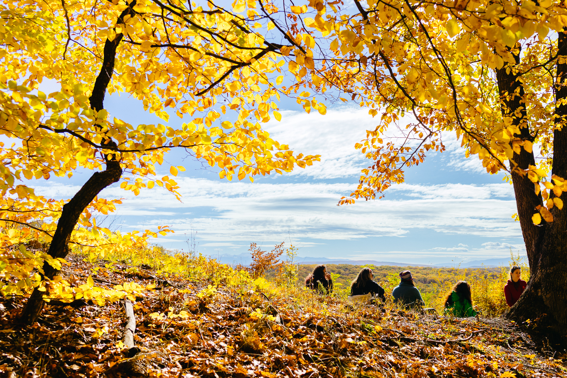 Drumeție cu mistere, legende și savori săsești spre Hazeldorf