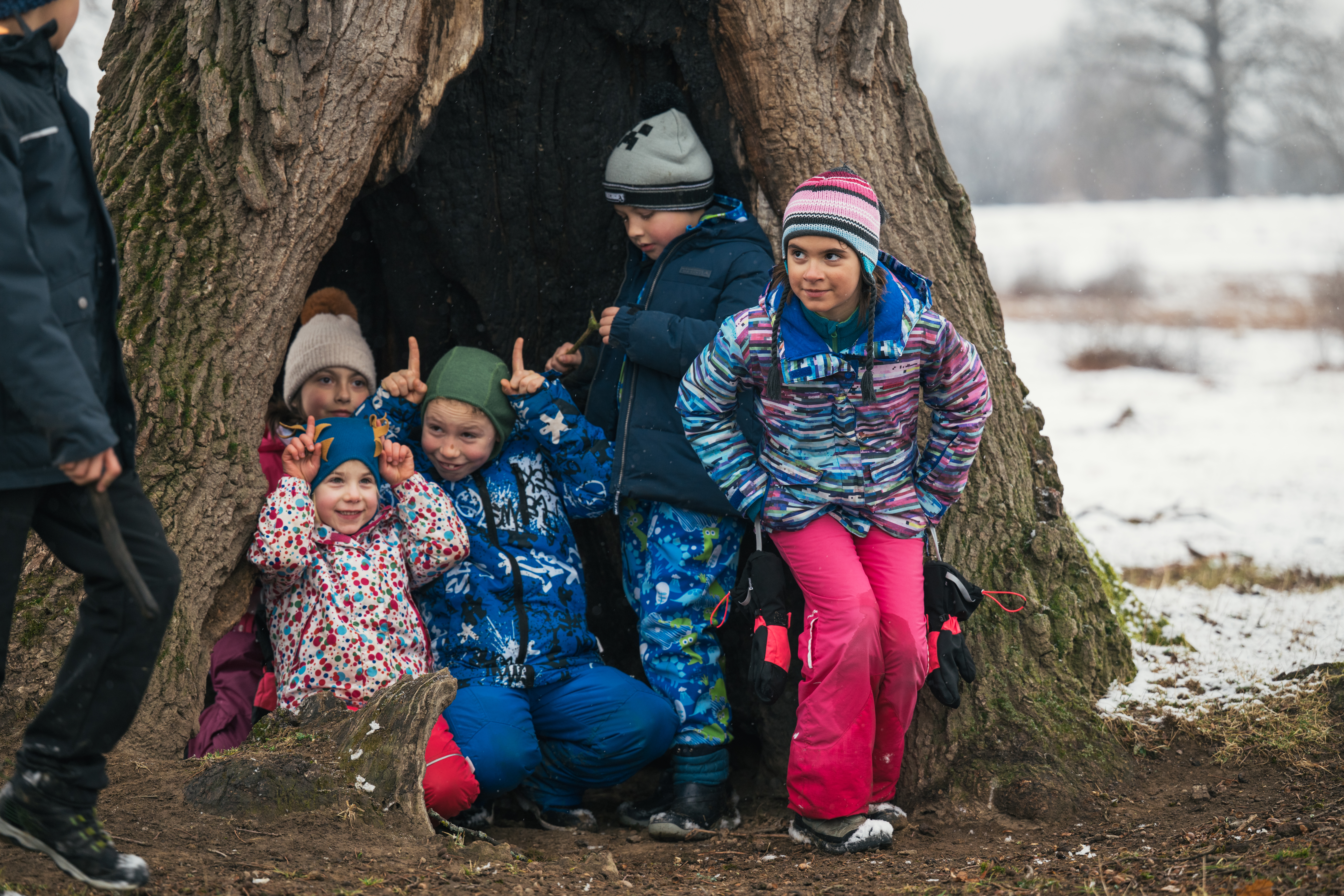 Aventură fantastică pentru cei mici spre grota din Țara Oltului