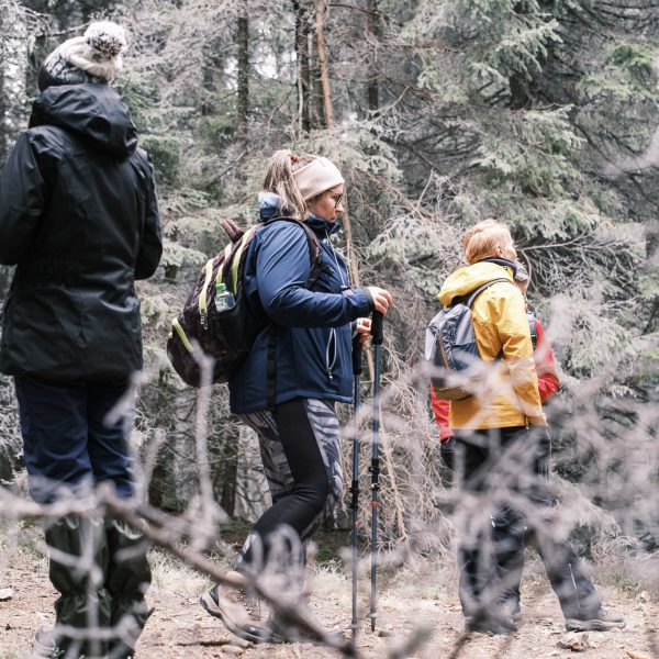 Hiking in Păltiniș on the Students’ Path