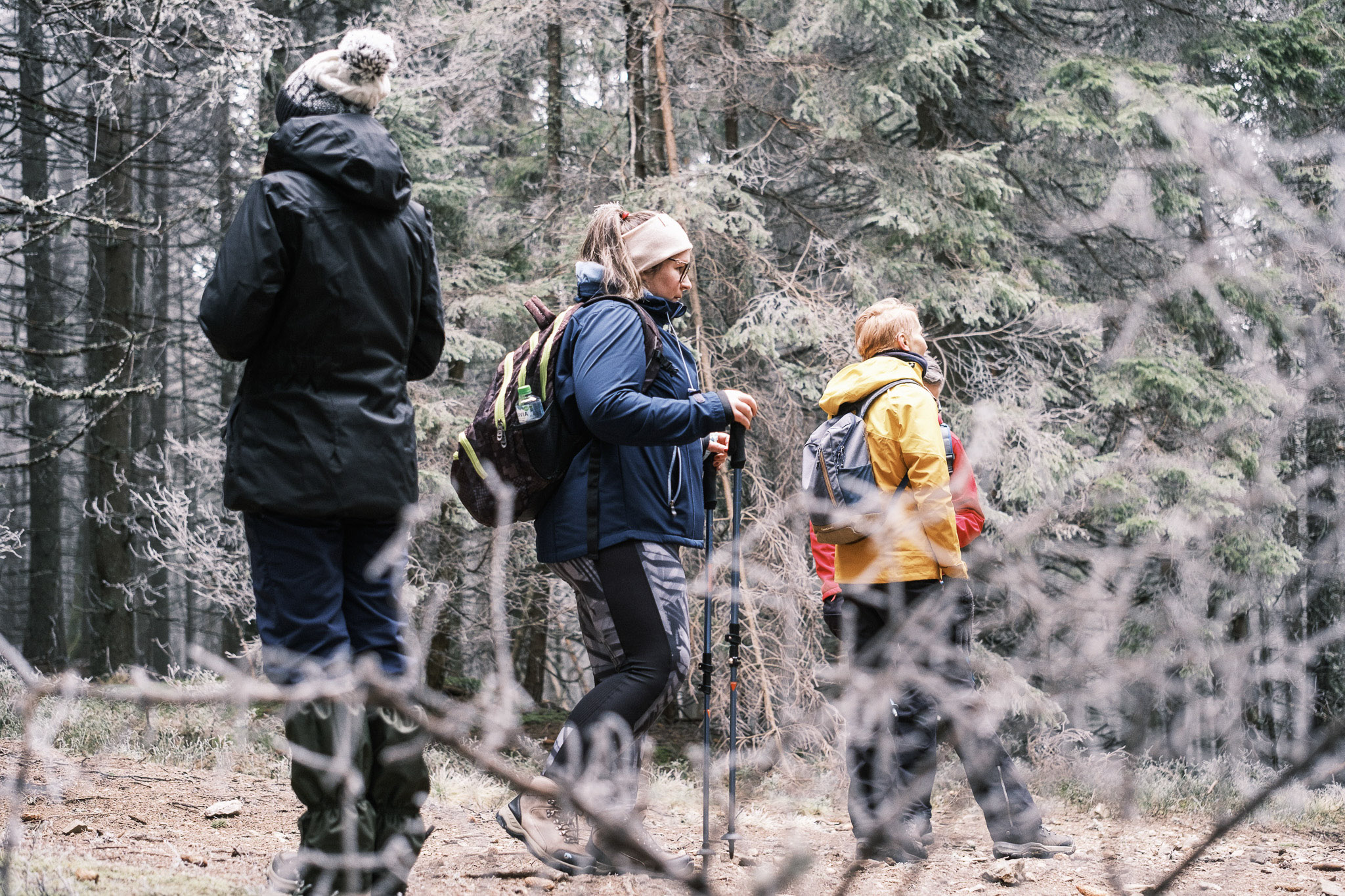 Drumeție în Păltiniș pe Calea Studenților