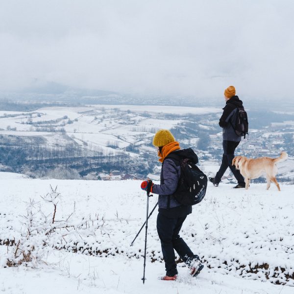 Hike on Via Transilvanica: from Agârbiciu to Micăsasa