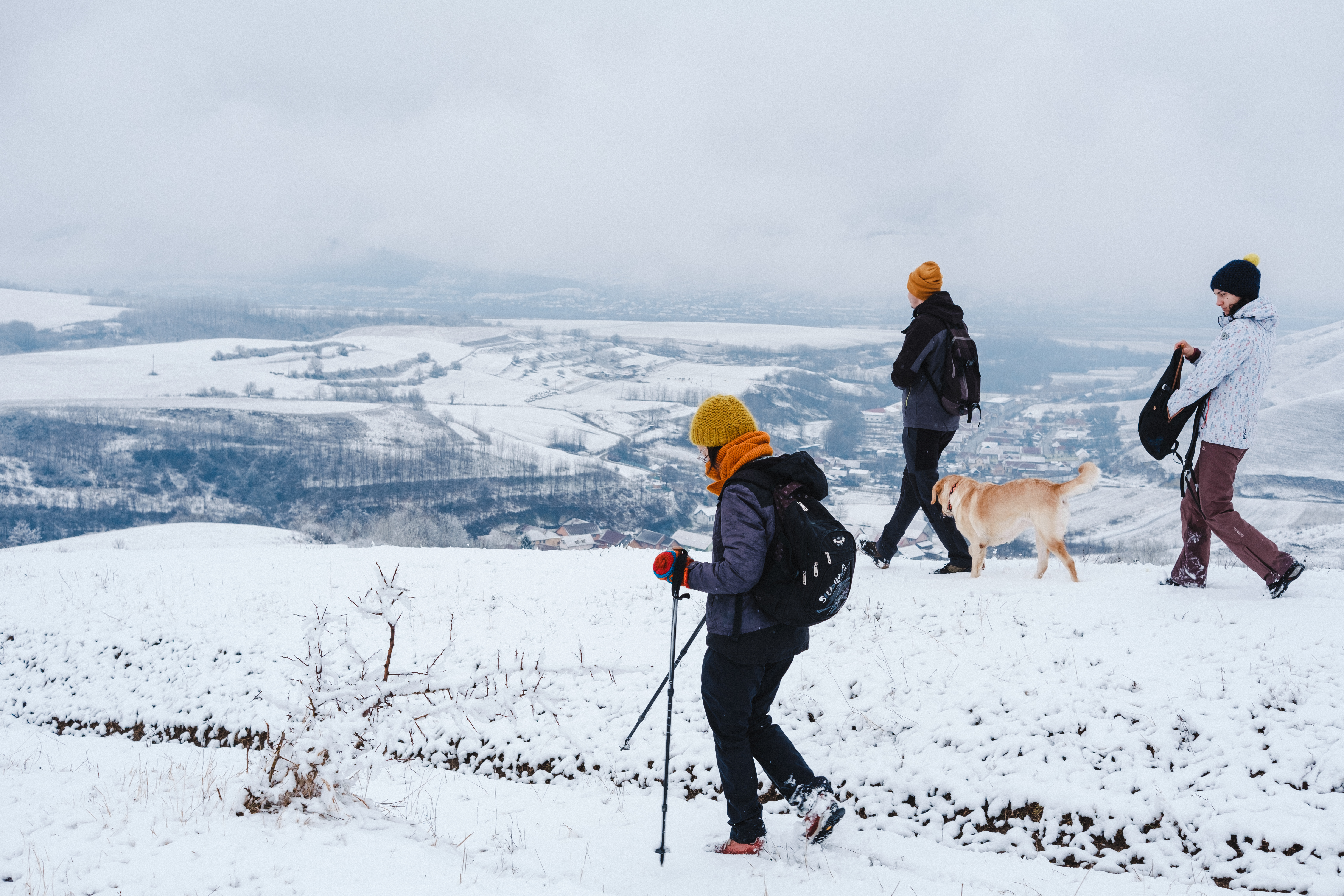 Drumeție pe Via Transilvanica: de la Agârbiciu – Micăsasa