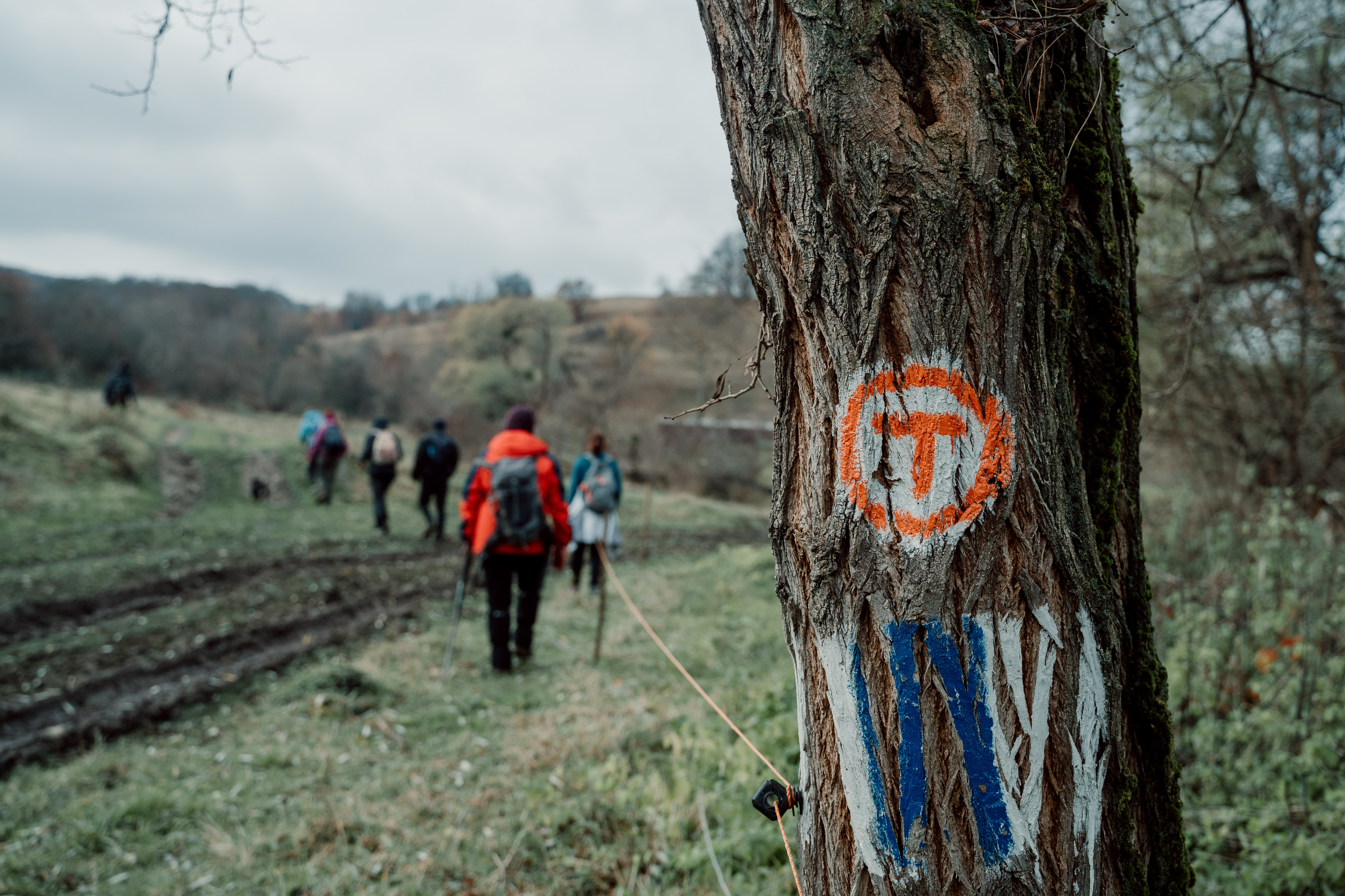 De la Conacul Apafi la Castelul Bethlen pe Via Transilvanica