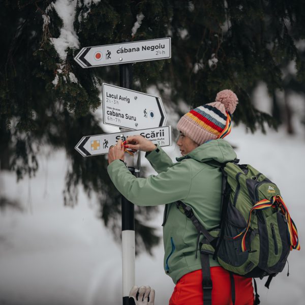 Hike in the Făgăraș Mountains: Bărcaciu Hut and Scărișoarei Ridge