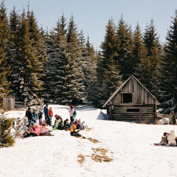 Flying on Snow! Hiking with Sledding in the Cindrel Mountains