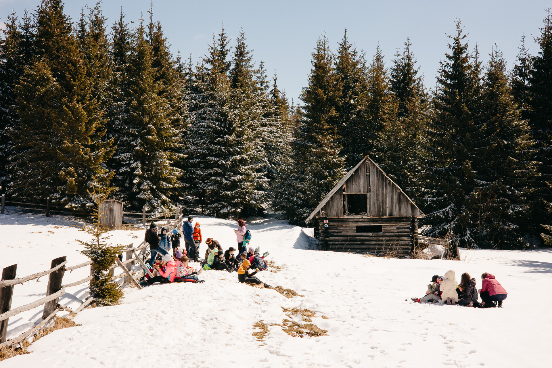 Zbor pe zăpadă! Drumeții cu săniuș în Munții Cindrel