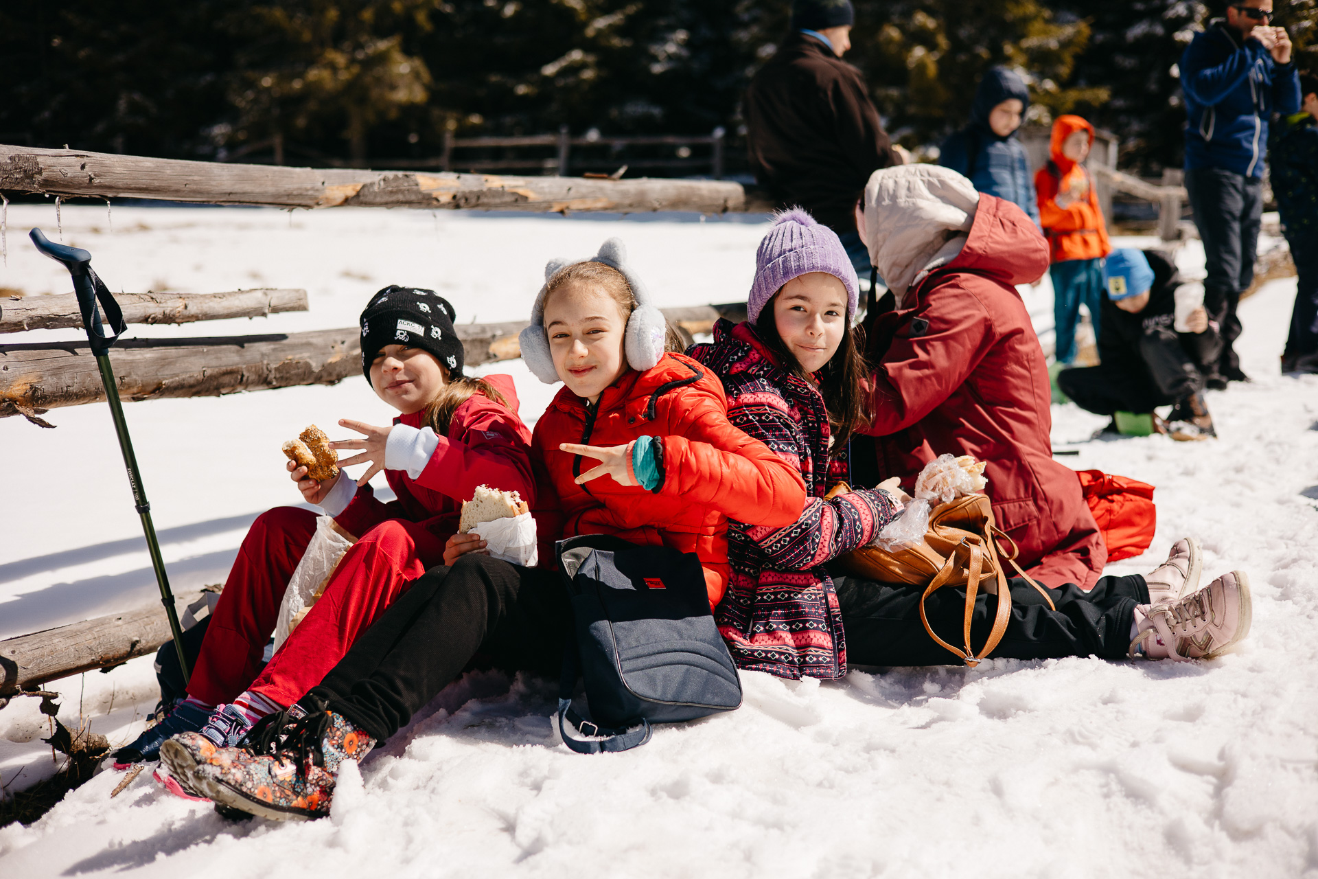 Drumeție dedicată Micilor Montaniarzi: Dealurile Săliștei și Tilișcăi