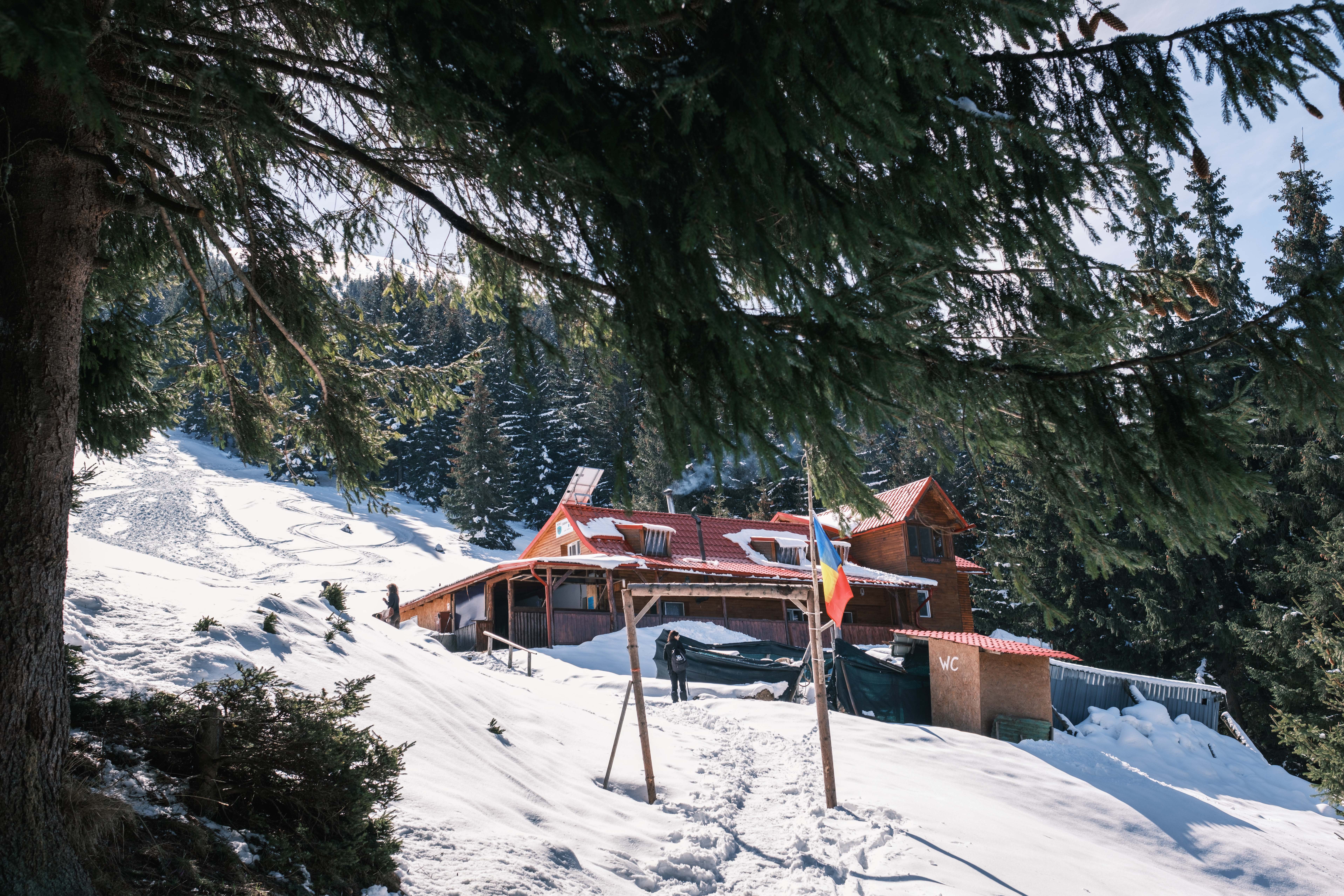 Ardem caloriile de sărbători urcând la cabana Suru
