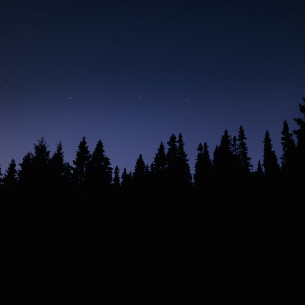 Full Moon Night Hike in Păltiniș