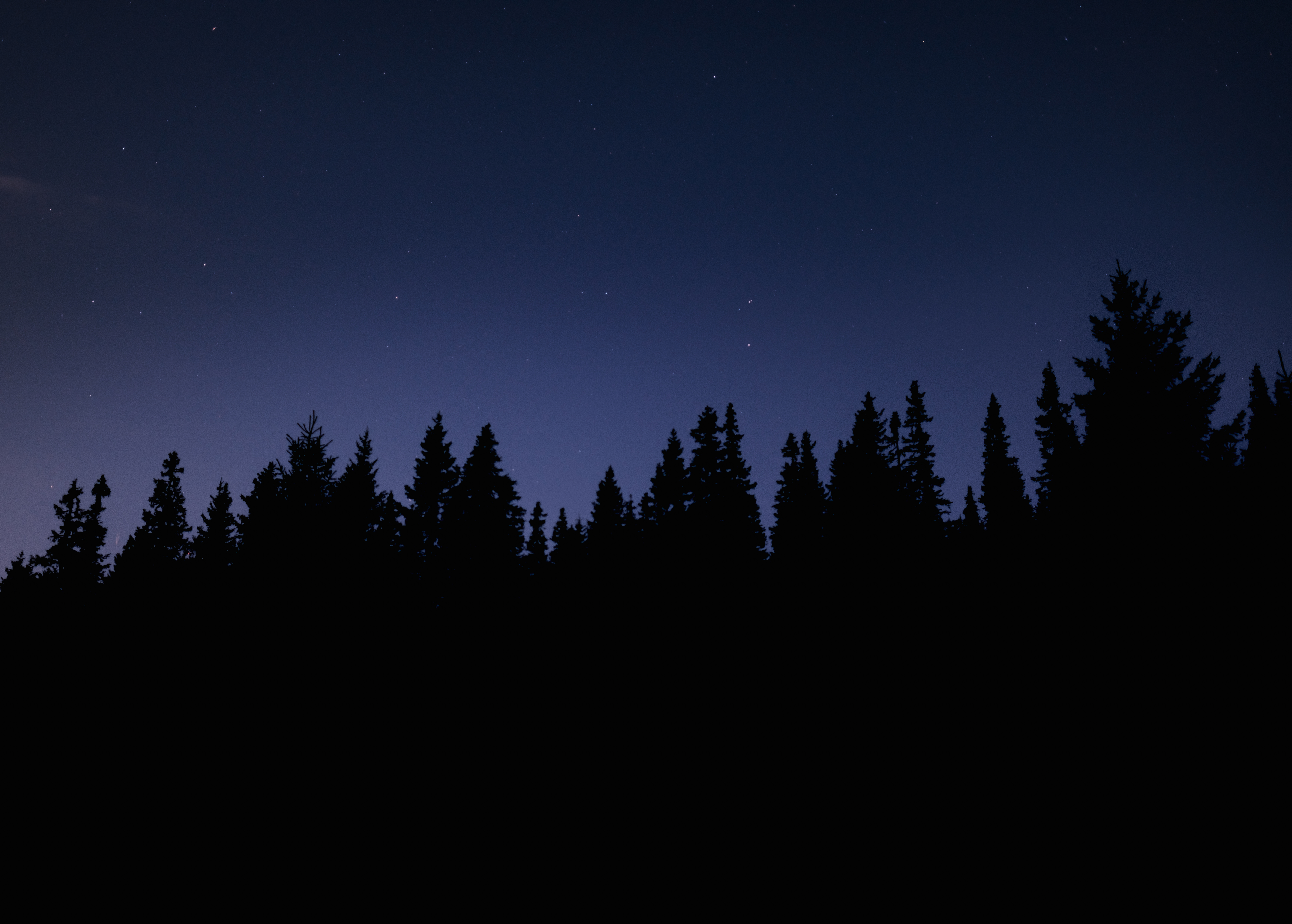 Drumeție de noapte pe lună plină în Păltiniș