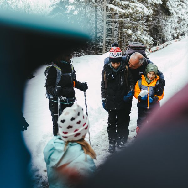 Hike Dedicated to the Young Mountaineers: Bâlea Waterfall Circuit