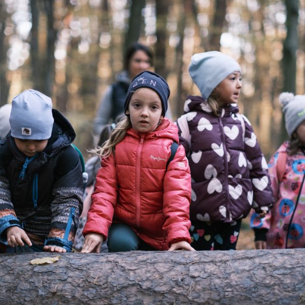 Family Hike at the Beginning of the Year in Catrina Forest