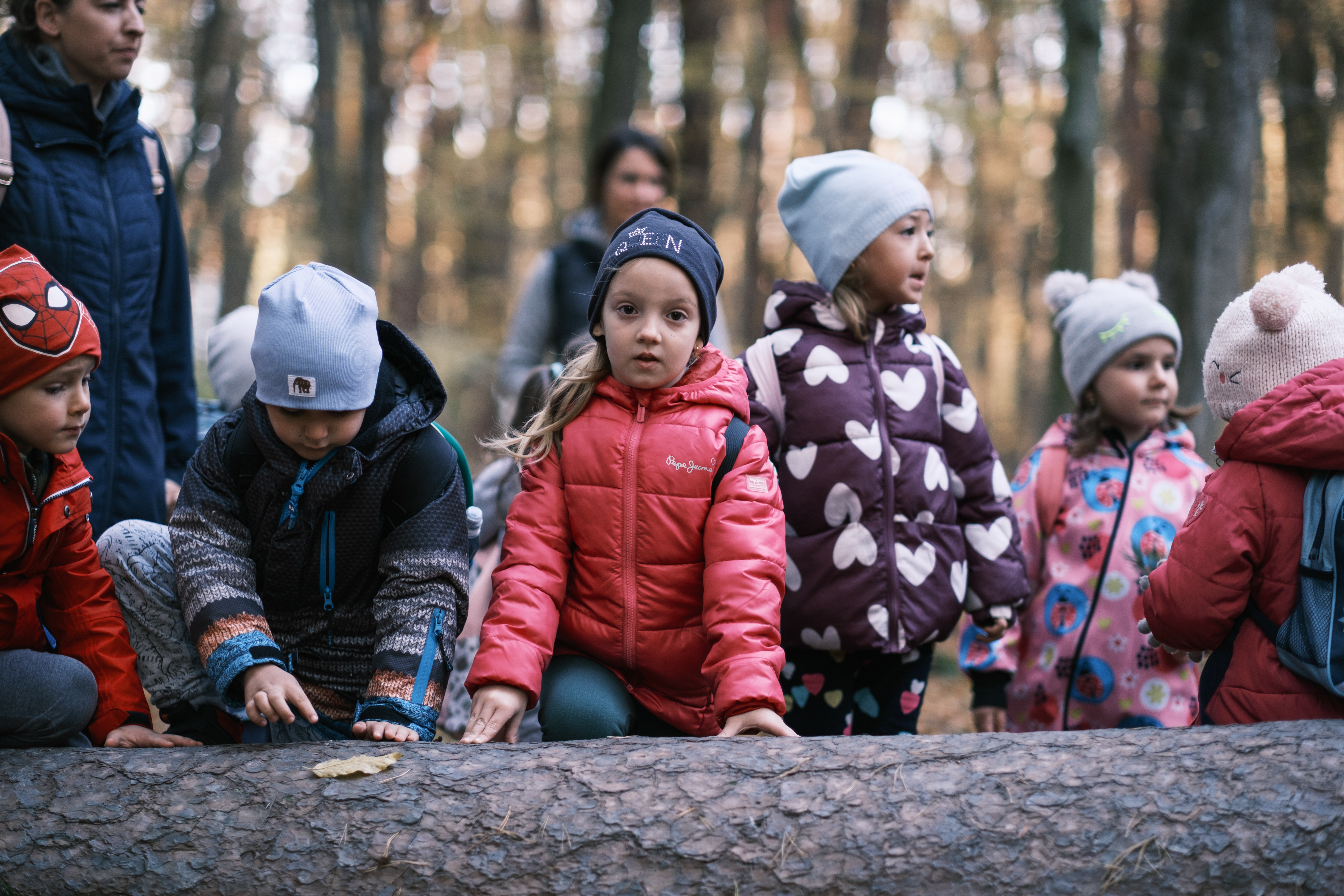 Drumetie în familie de început de an în Pădurea Catrina