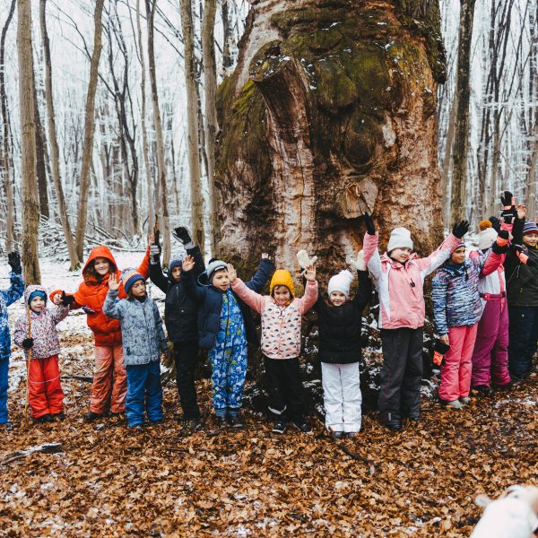 Winter Celebration towards the Land of Ancient Oaks and the Horses’ Paradise