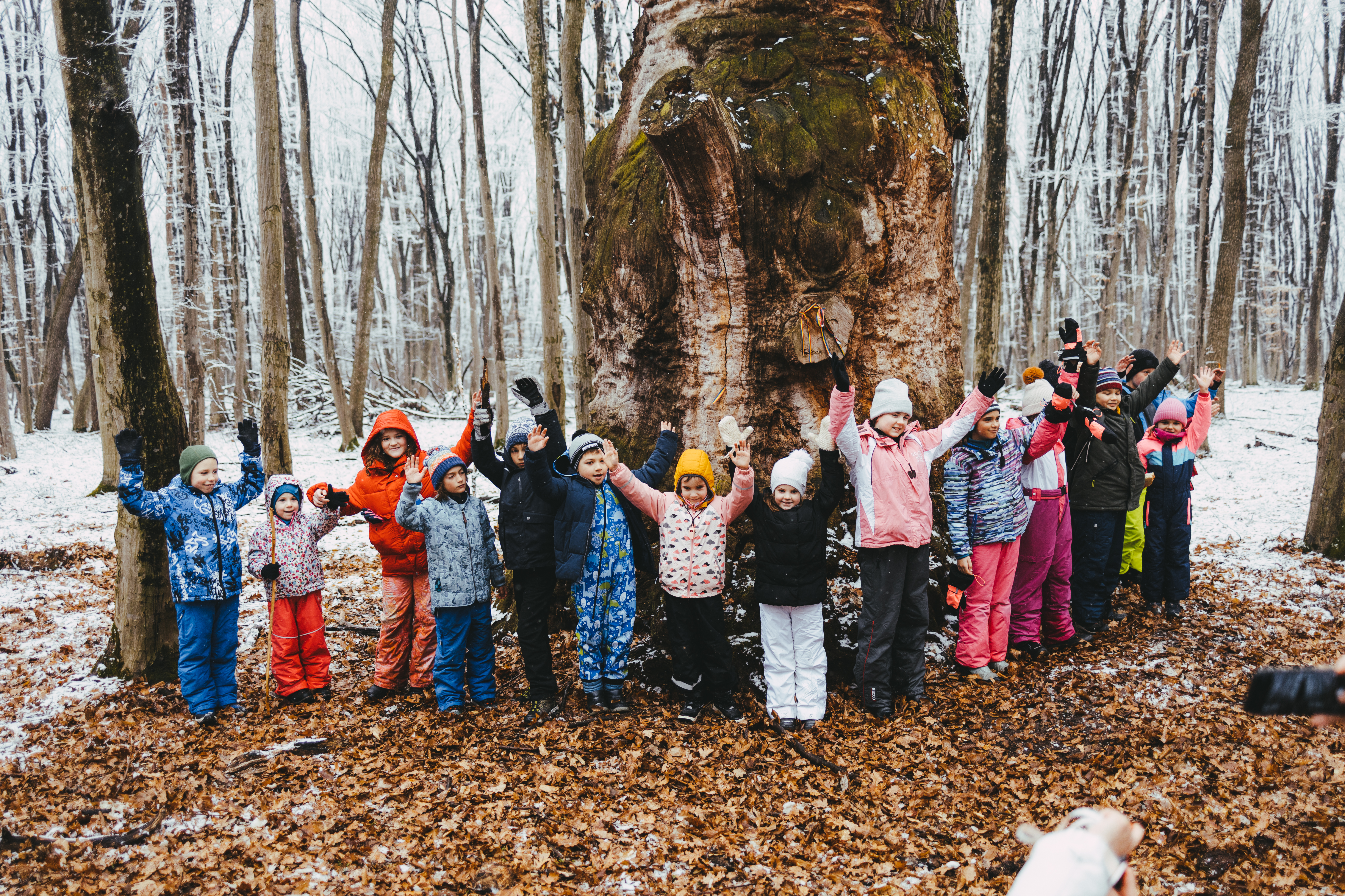 Sărbătoare de iarnă spre Tărâmul Stejarilor Seculari și Raiul Cailor