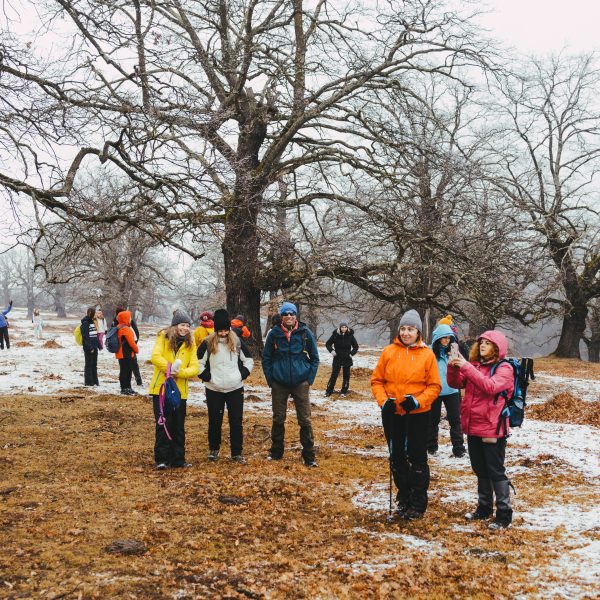 Immunity Boost: Hike in the Veseud Hills and Sea Buckthorn Workshop